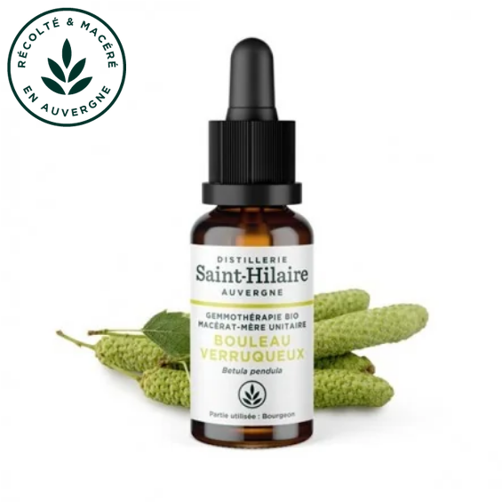 Macérat mère de jeunes pousses de Bouleau verruqueux 30 ml BIO - DE SAINT HILAIRE