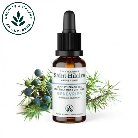 Macérat mère de jeunes pousses de Genévrier 30 ml BIO - DE SAINT HILAIRE