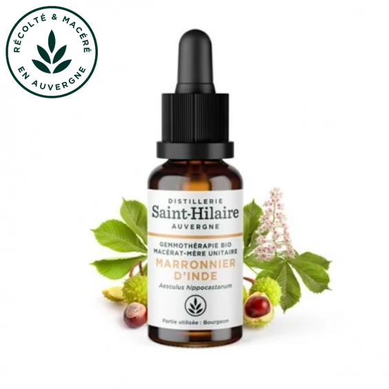 Macérat mère de jeunes pousses de Marronnier d'Inde 30 ml BIO - DE SAINT HILAIRE