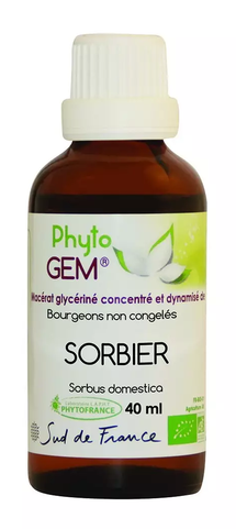 Phyto GEM Sorbier 40 ml BIO - PHYTOFRANCE