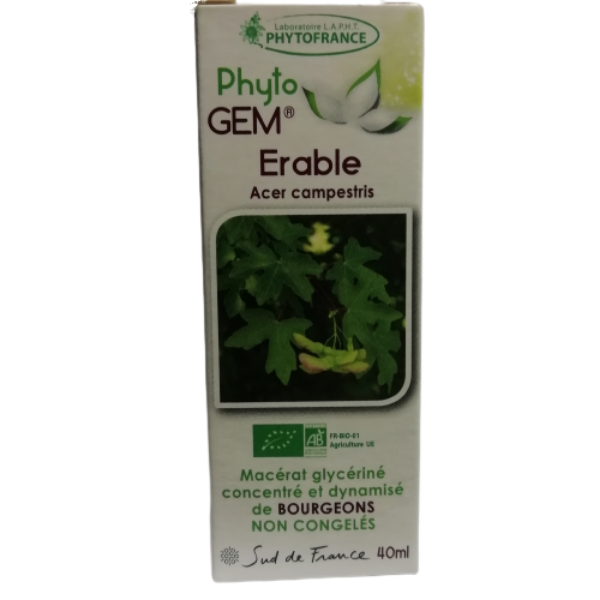 Phyto GEM Erable 40 ml BIO - PHYTOFRANCE