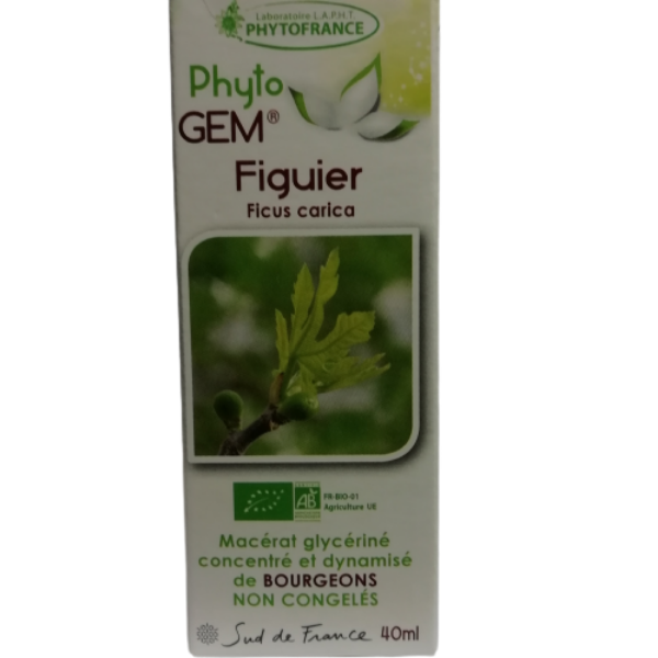 Phyto GEM Figuier 40 ml BIO - PHYTOFRANCE