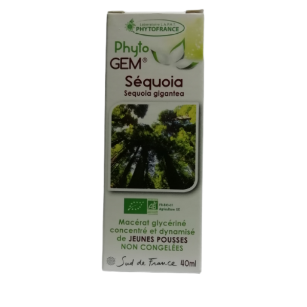 Phyto GEM Séquoia 40 ml BIO - PHYTOFRANCE