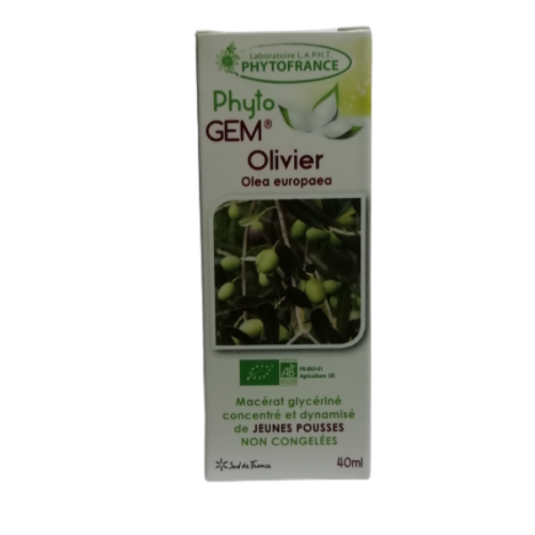 Phyto GEM Olivier 40 ml BIO - PHYTOFRANCE