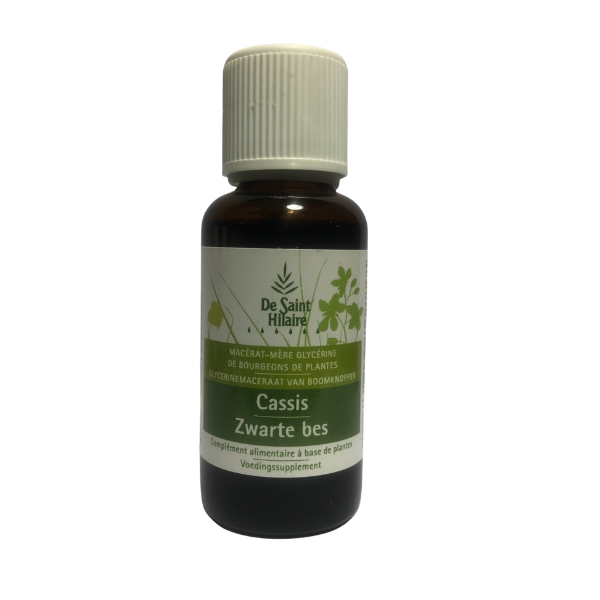 Macérat mère de bourgeon unitaire de Cassis 30 ml BIO - De Saint Hilaire