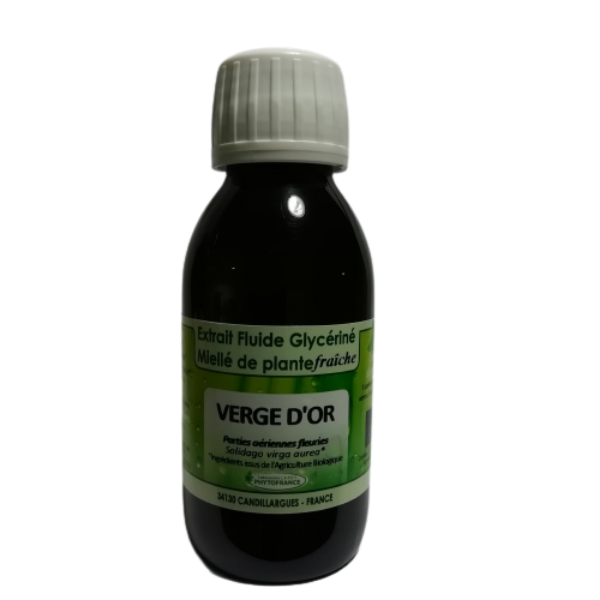 Verge d'or - Extrait Fluide Glycériné Miellé de plante fraiche 125 ml BIO - PHYTOFRANCE