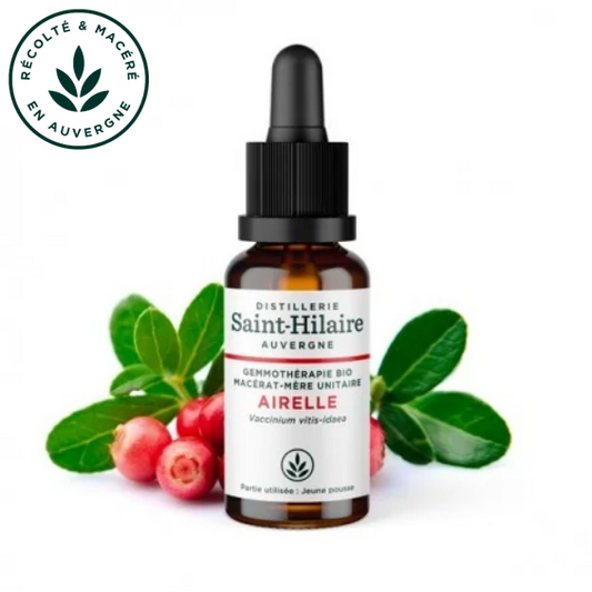 Macérat mère de jeunes pousses d'Airelle 30 ml BIO - DE SAINT HILAIRE
