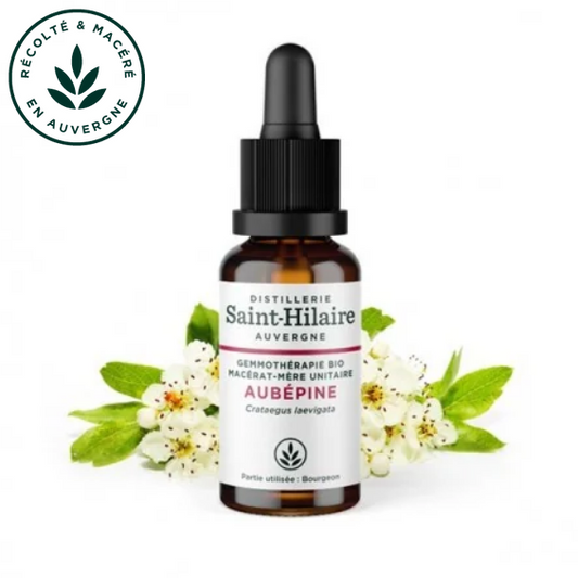 Macérat mère de jeunes pousses d'Aubépine 30 ml BIO - DE SAINT HILAIRE