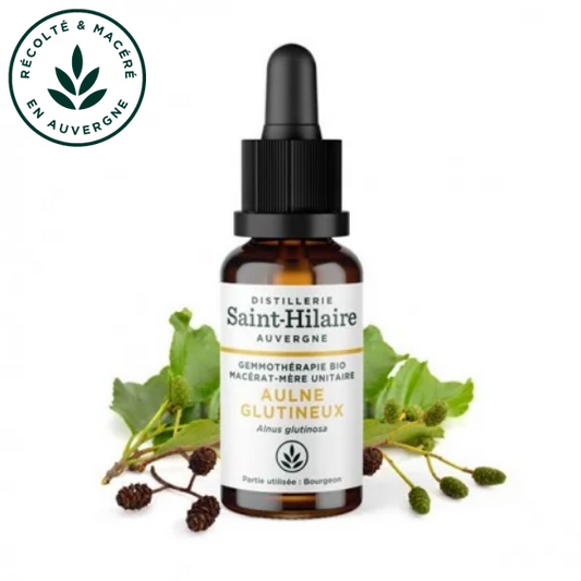 Macérat mère de jeunes pousses d'Aulne glutineux 30 ml BIO - DE SAINT HILAIRE