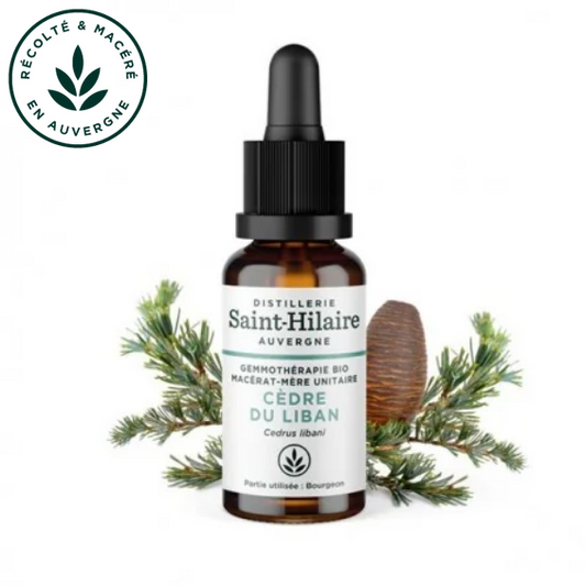 Macérat mère de jeunes pousses de Cèdre du Liban 30 ml BIO - DE SAINT HILAIRE