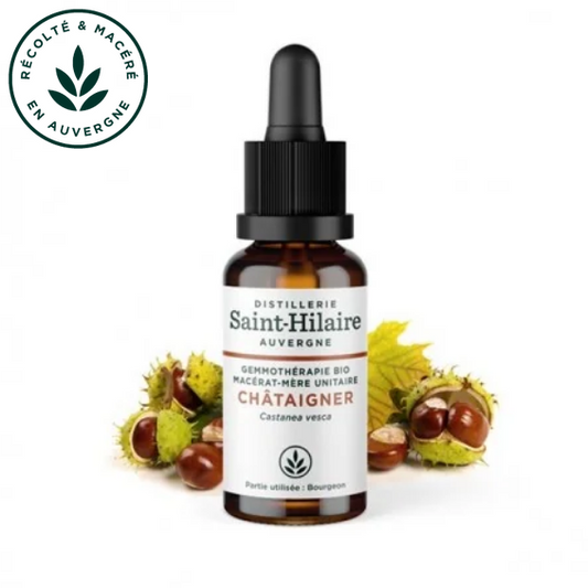 Macérat mère de jeunes pousses de Chataignier 30 ml BIO - DE SAINT HILAIRE