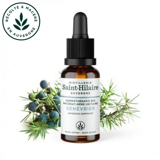 Macérat mère de jeunes pousses de Genévrier 30 ml BIO - DE SAINT HILAIRE