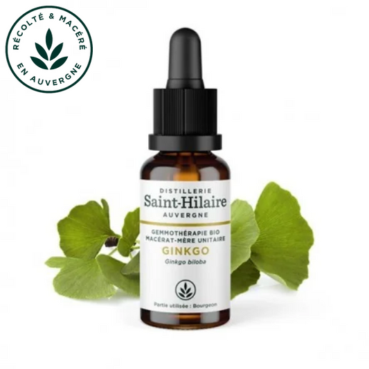 Macérat mère de jeunes pousses de Ginkgo 30 ml BIO - DE SAINT HILAIRE
