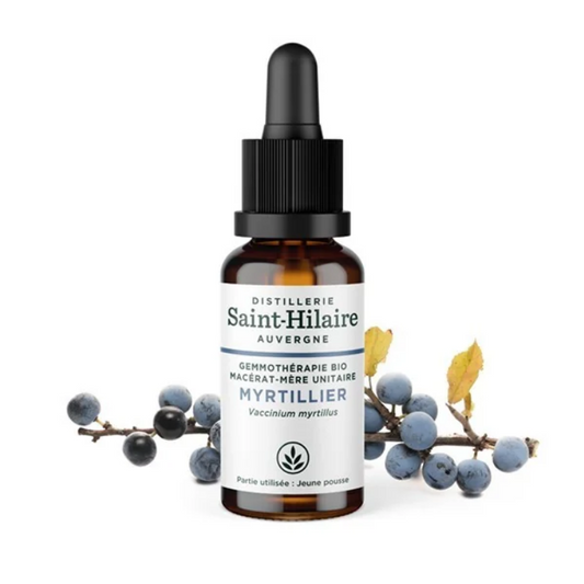 Macérat mère de jeunes pousses de Myrtillier 30 ml BIO - DE SAINT HILAIRE
