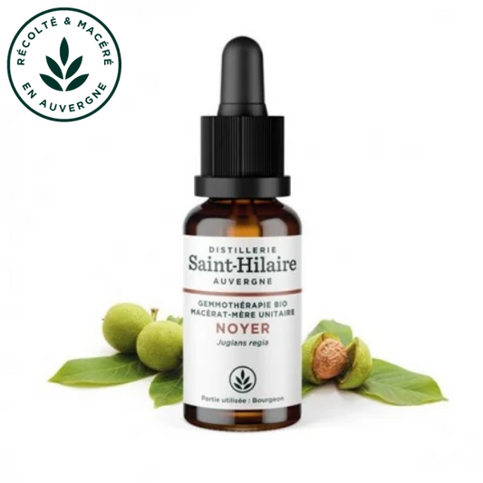 Macérat mère de jeunes pousses de Noyer 30 ml BIO - DE SAINT HILAIRE