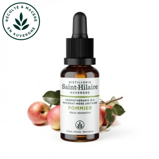 Macérat mère de jeunes pousses de Pommier 30 ml BIO - DE SAINT HILAIRE