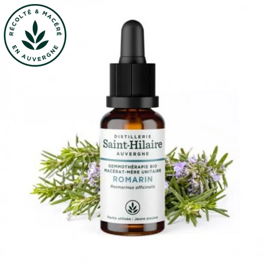 Macérat mère de jeunes pousses de Romarin 30 ml BIO - DE SAINT HILAIRE