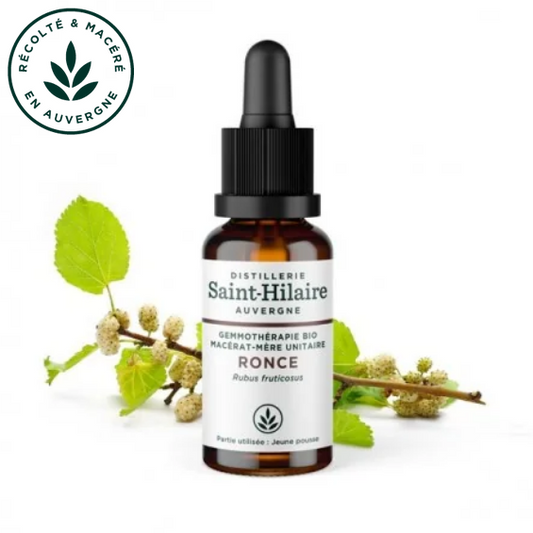 Macérat mère de jeunes pousses de Ronce 30 ml BIO - DE SAINT HILAIRE