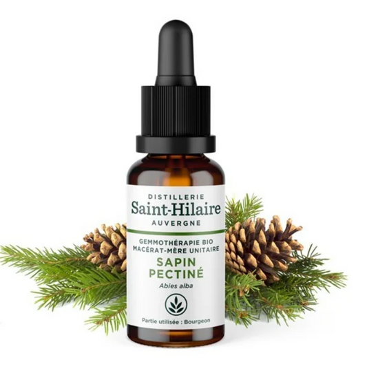 Macérat mère de jeunes pousses de Sapin pectiné 30 ml BIO - DE SAINT HILAIRE