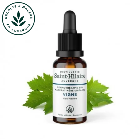 Macérat mère de jeunes pousses de Vigne 30 ml BIO - DE SAINT HILAIRE