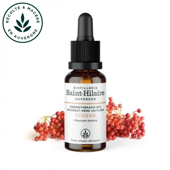Macérat mère de jeunes pousses de Viorne 30 ml BIO - DE SAINT HILAIRE