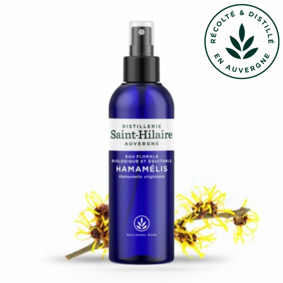 Eau Florale d' Hamamélis 200 ml - DE SAINT HILAIRE