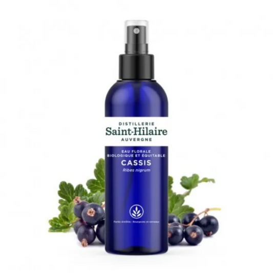 Eau Florale de Cassis 200 ml - DE SAINT HILAIRE