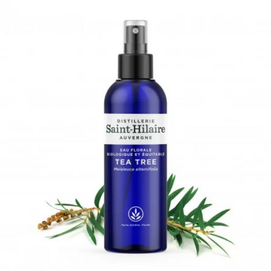 Eau Florale de Tea Tree 200 ml - DE SAINT HILAIRE