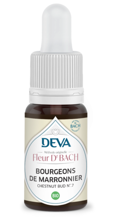 DEVA Bourgeons de Marronnier - Chestnut bud n°7 - Compte gouttes 15ml