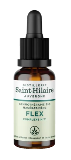 Macérat mère glycériné de bourgeons de plantes Flex 30 ml BIO - DE SAINT HILAIRE
