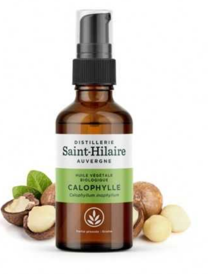 Huile végétale de Calophylle BIO 50 ml - DE SAINT HILAIRE