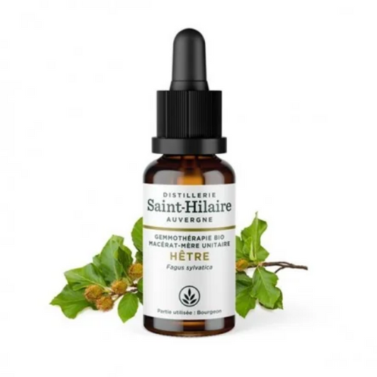Macérat mère de jeunes pousses de Hêtre 30 ml BIO - DE SAINT HILAIRE
