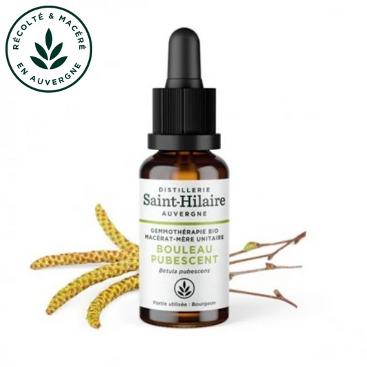 Macérat mère de jeunes pousses de Bouleau pubescent 30 ml BIO - DE SAINT HILAIRE