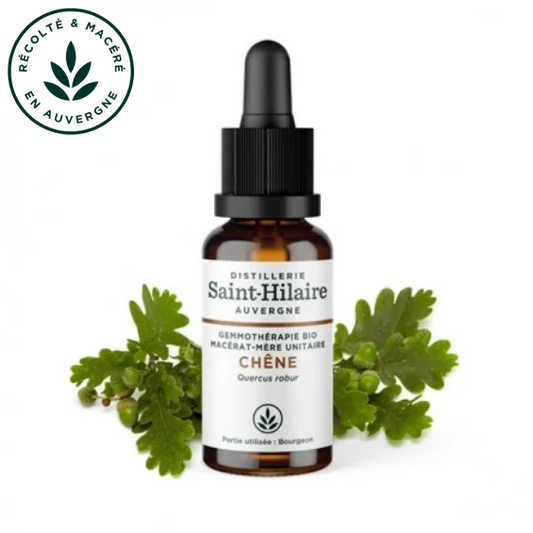 Macérat mère de jeunes pousses de Chêne 30 ml BIO - DE SAINT HILAIRE