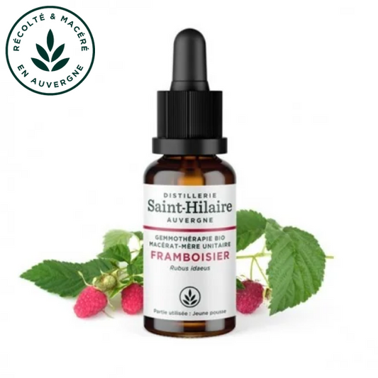 Macérat mère de jeunes pousses de Framboisier 30 ml BIO - DE SAINT HILAIRE
