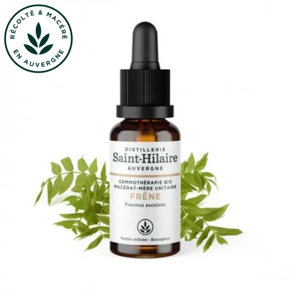 Macérat mère de bourgeon unitaire de Frêne 30 ml BIO - DE SAINT HILAIRE