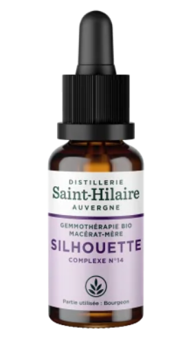 Macérat mère glycériné de bourgeons de plantes Silhouette 30 ml BIO - DE SAINT HILAIRE