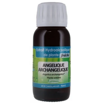 Angélique archangélique - Extrait Hydroalcoolique de plante fraiche BIO 60ml - PHYTOFRANCE