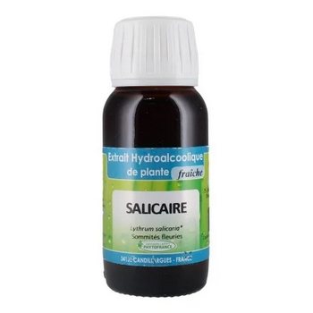 Salicaire - Extrait Hydroalcoolique de plante fraiche BIO 60ml - PHYTOFRANCE