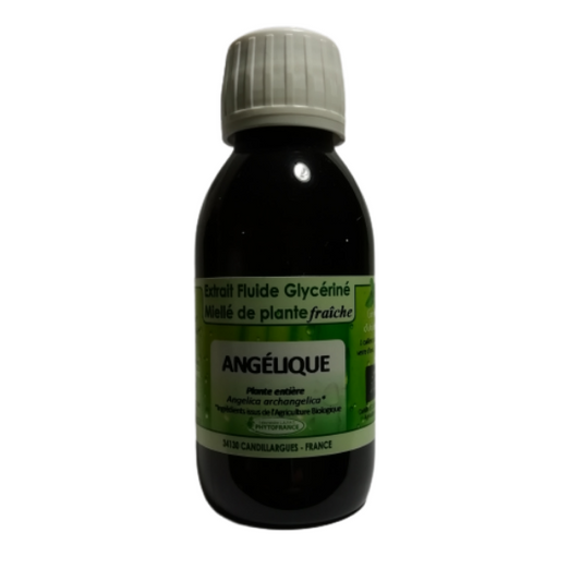 Angélique - Extrait Fluide Glycériné Miellé de plante fraiche 125 ml BIO - PHYTOFRANCE