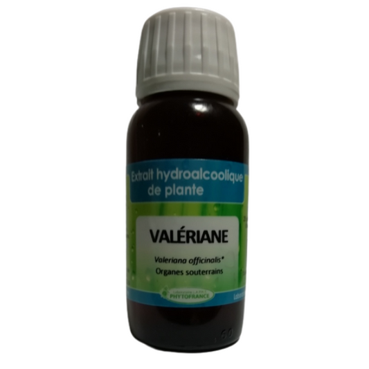 VALERIANE Organes souterrains - Extrait hydoalcoolique de plante fraîche BIO 60 ml - PHYTOFRANCE