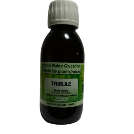 Tribule - Extrait Fluide Glycériné Miellé de plante fraiche 125 ml BIO - PHYTOFRANCE