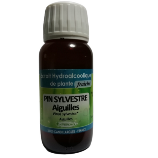 Pin Sylvestre Aiguilles - Extrait hydroalcoolique de plante fraiche BIO 60ml - PHYTOFRANCE